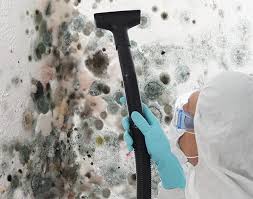 Best Mold Damage Restoration in Bystrom, CA